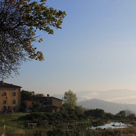 Fattoria San Paolo Agriturismo Montecastelli Pisano ภายนอก รูปภาพ