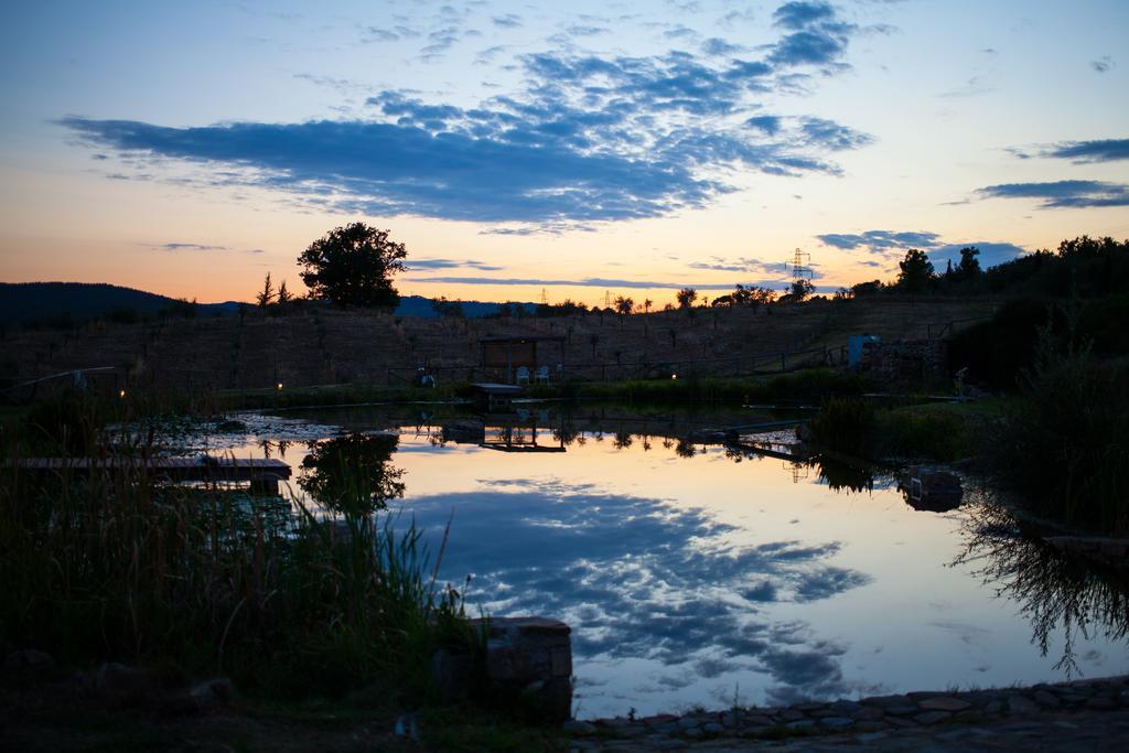 Fattoria San Paolo Agriturismo Montecastelli Pisano ภายนอก รูปภาพ