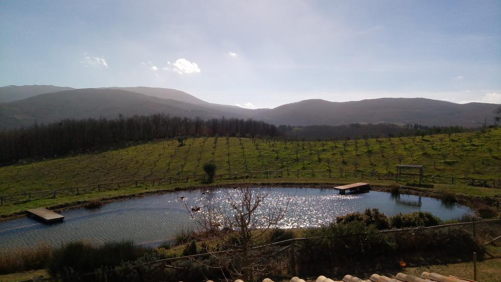 Fattoria San Paolo Agriturismo Montecastelli Pisano ภายนอก รูปภาพ